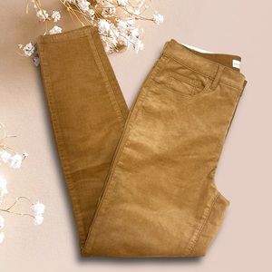 LOFT Corduroy Pants NWT in Camel Sz 6/28